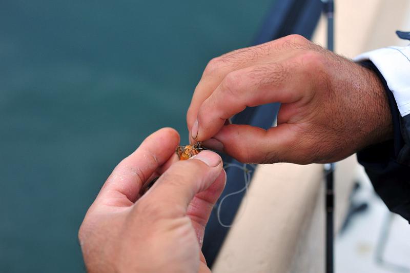 Peche sportive 6.JPG